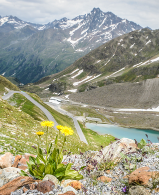 Kaunertaler Gletscherpanoramastraße mit See und Natur
